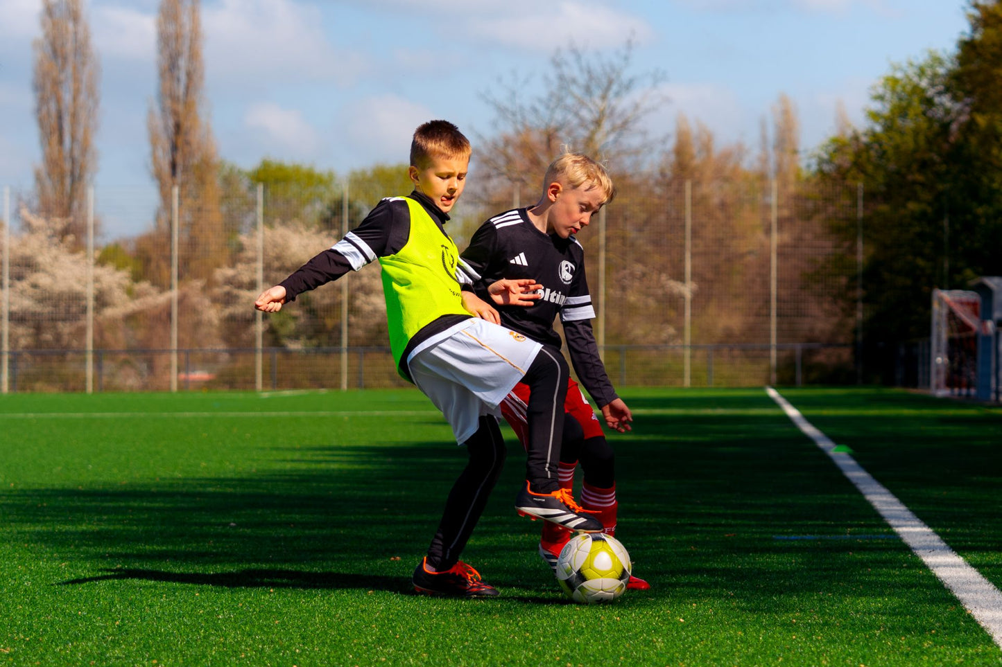Kostenlose Probetraining | 30 Minuten | Nur einmalig